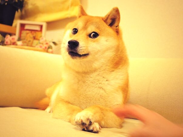 MahalovDesign's tweet image. "А сделай-ка мне,крутую аватарку,шоб пряма свэг была!"