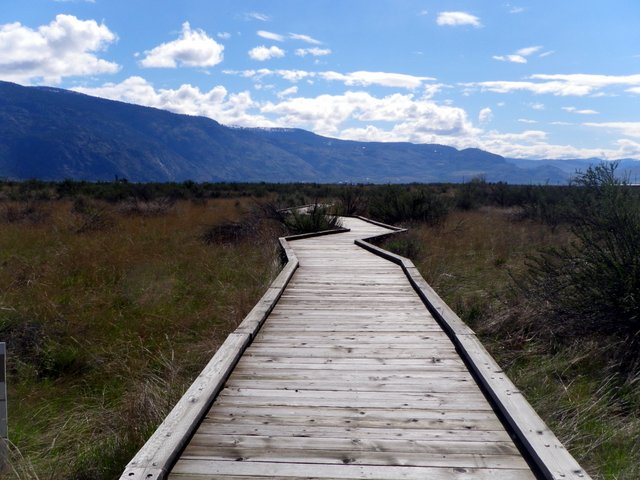 shirleybond's tweet photo. #SnowBetterPlace
#ThompsonOkanagan for #StaycationBC https://t.co/1Pe7KPaBx8 @DestinationBC
@TOTACaravanFest https://t.co/xOmIipXbVd