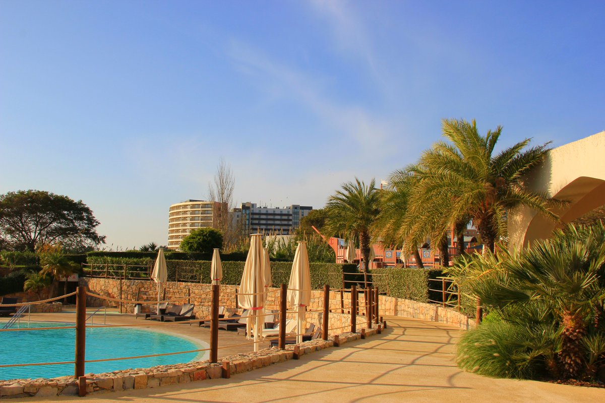 Dezembro, e este tempo extraordinário...

December, and this extraordinary weather...