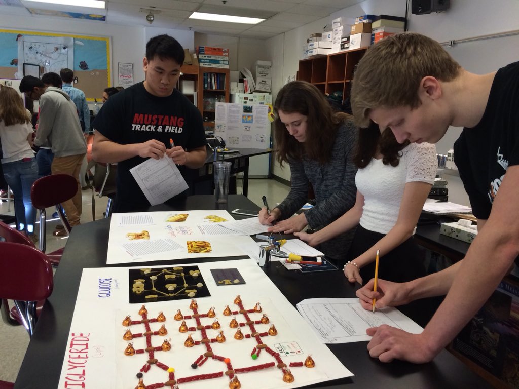 MasonIBProgram's tweet photo. Group 4 presentations--Lipids vs Carbs https://t.co/fUFNkLKYn1