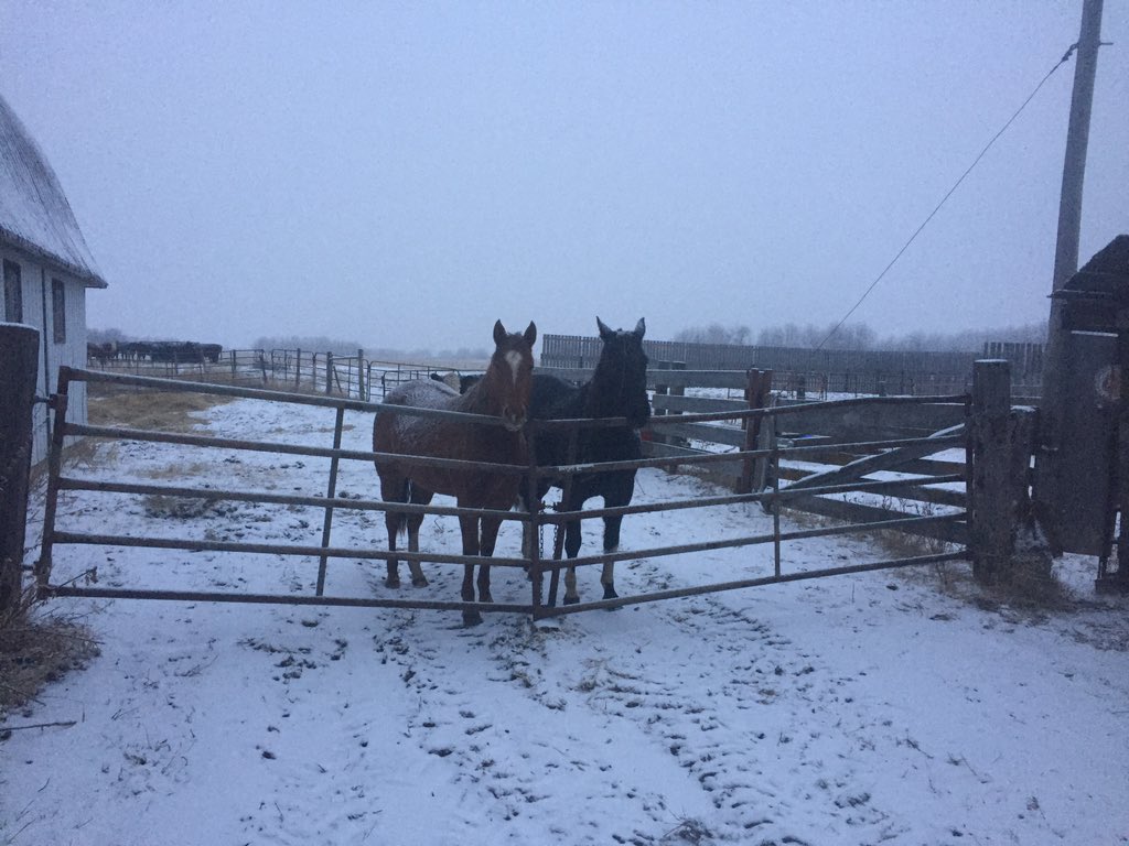 jessolver's tweet image. The girls are waiting!!