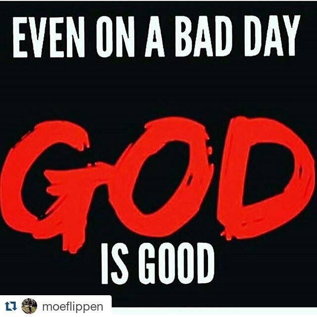 Chase Shepard (@ChaseShepard10) | Twitter