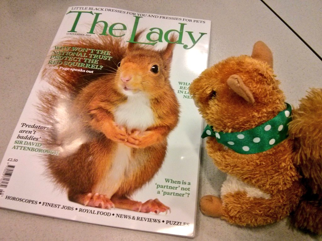 AGMSquirrel tweet media