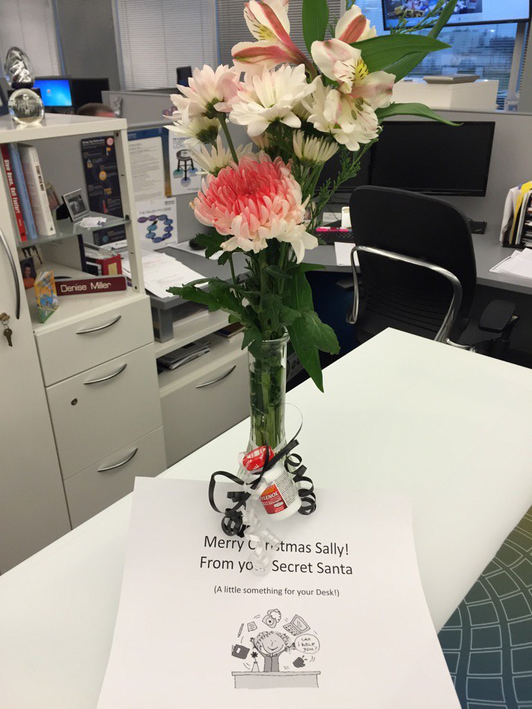 ReaderSal's tweet image. Love working at GreatAmerica!  Colleagues who are great Secret Santas!!!!  Tylenol and all...