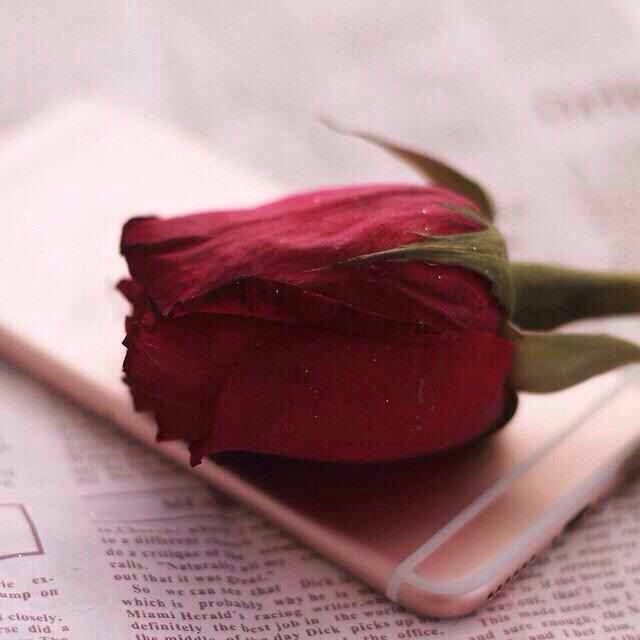 F2S1_N's tweet photo. من يُحبك حقاً
لن يجرؤ على مرور الوقت بدونك
سيحن
سيشتاق
سيتألم
سيصنع المستحيل لِـ يُحادثك من يُحبك / فقط ..❗ https://t.co/7b5cwtZQ7V