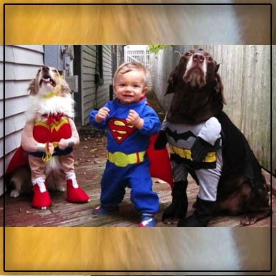 HollandMilton's tweet photo. I love cat.......
#CatAnimal
#CatBreeds
#CatNames
#UniqueCatNames https://t.co/3NNklI3OTO