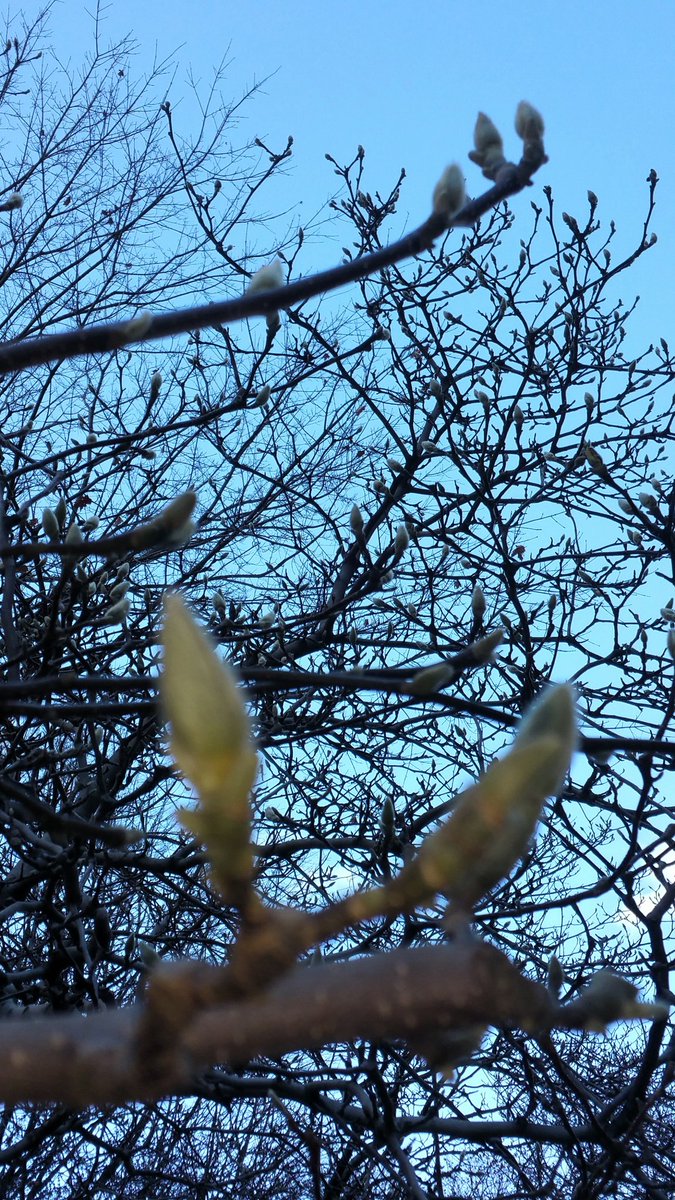 LeeGoldbergABC7's tweet photo. December or May? @abc7ny https://t.co/PM0l35cB8Y
