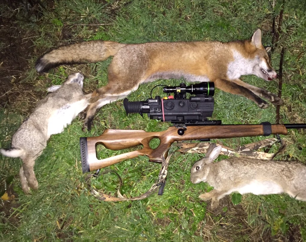 <a href="/Scott_Country/">Scott Country</a> <a href="/ThomasJacksLtd/">Thomas Jacks Limited</a> the N870lrf + laserluchs5000 are an excellent combo for all night shooting🐀🐰🐺