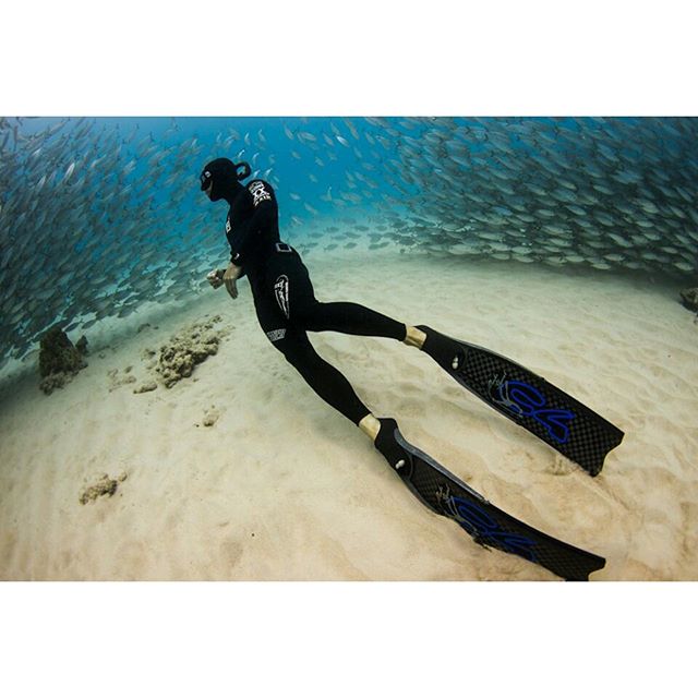 OceanerFreedive's tweet photo. Check out @martin_stepanek of @fii_freedive in his new C4 Stepanek Blades and @oceanerfreedive #fit45 suit! https://t.co/q7ytF5GEyb