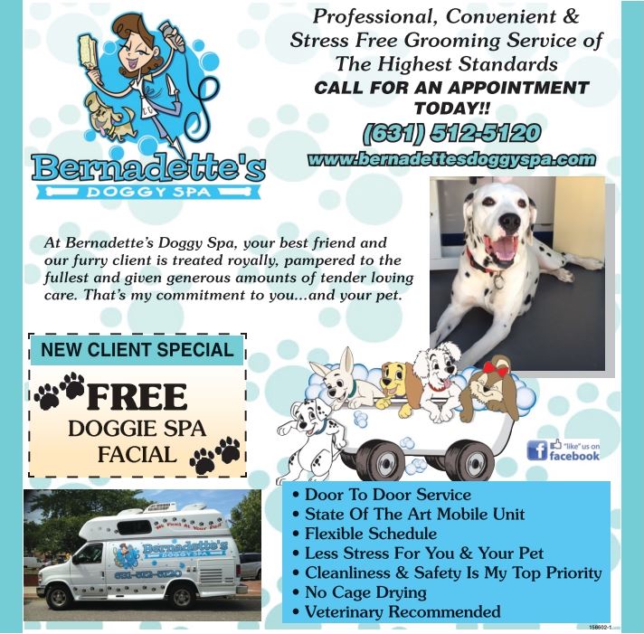 bernadette's doggy spa