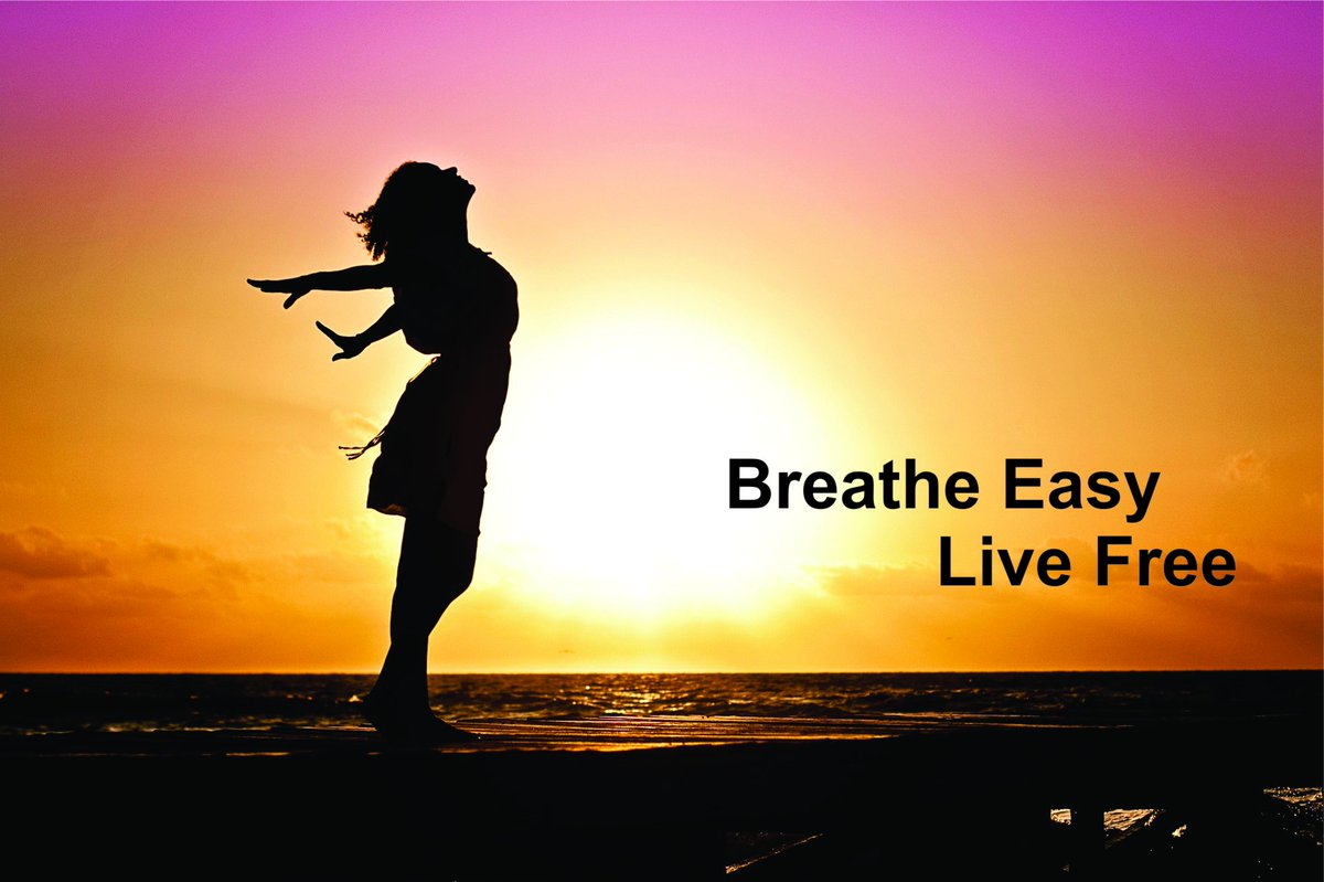 basbio_livefree's tweet photo. This Christmas, give yourself the gift of fresh air https://t.co/bHtaJnHNH9