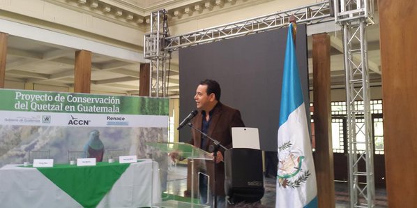 TelediarioGT's tweet photo. Presidente Electo, Jimmy Morales, da la bienvenida al proyecto de Conservación del Quetzal. Info. #CONAPGT https://t.co/Y149BwOksu