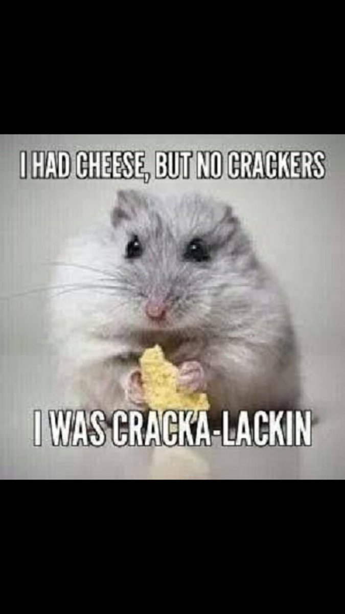 BridgesCourtney's tweet photo. My all time favorite! https://t.co/1CRPWG3dij