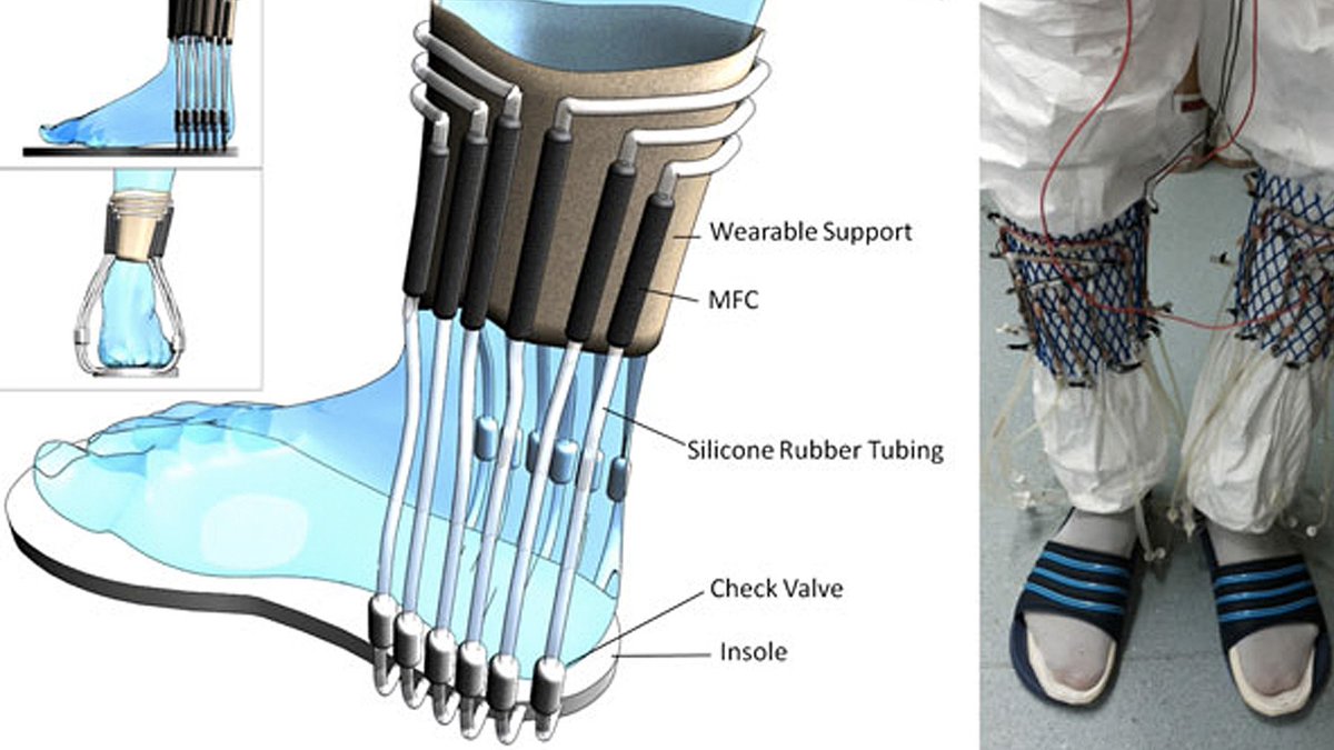 mashable's tweet photo. These urine-filled socks could generate enough power to send a text https://t.co/4OD6wW4Zza via @TechReview https://t.co/uebNTc4m7z