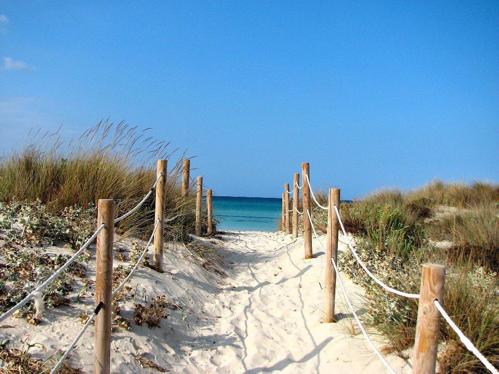 bookmallorca's tweet photo. Es Trenc Beach, a #beach in #Mallorca that you should visit https://t.co/AB4whYdfWu https://t.co/yevNcit0EE