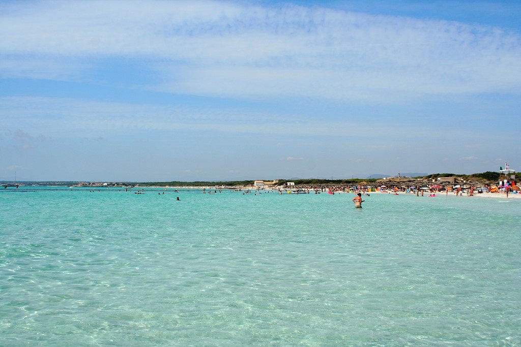bookmallorca's tweet photo. Es Trenc Beach, a #beach in #Mallorca that you should visit https://t.co/AB4whYdfWu https://t.co/yevNcit0EE