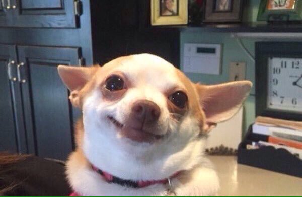 <a href="/KirbySmartUGA/">Coach Kirby Smart</a> <a href="/skinnyqb10/">Jacob Eason</a>