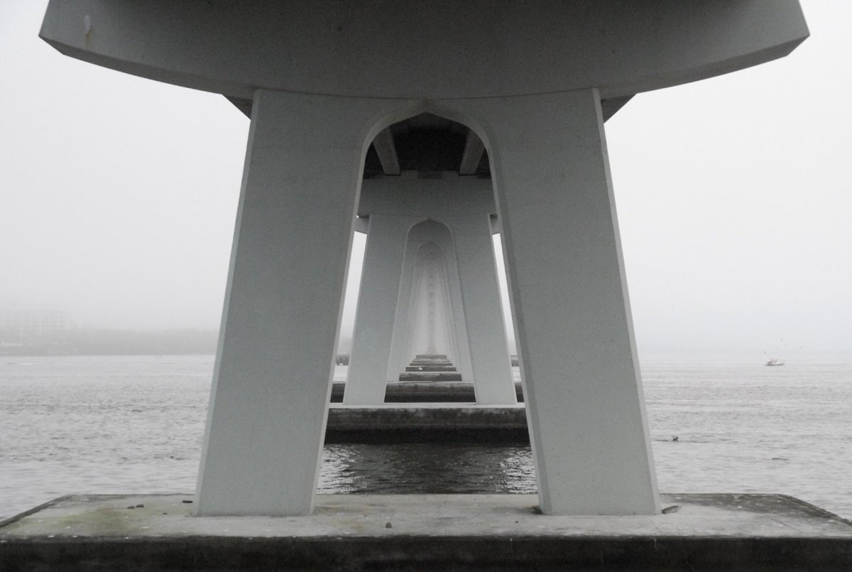 dorothymwallace's tweet photo. A foggy day on #Sanibel #Captiva. Live Easy can clear things up for you and your clients. https://t.co/bcISDhVc70 https://t.co/7Z8YXGBQEK
