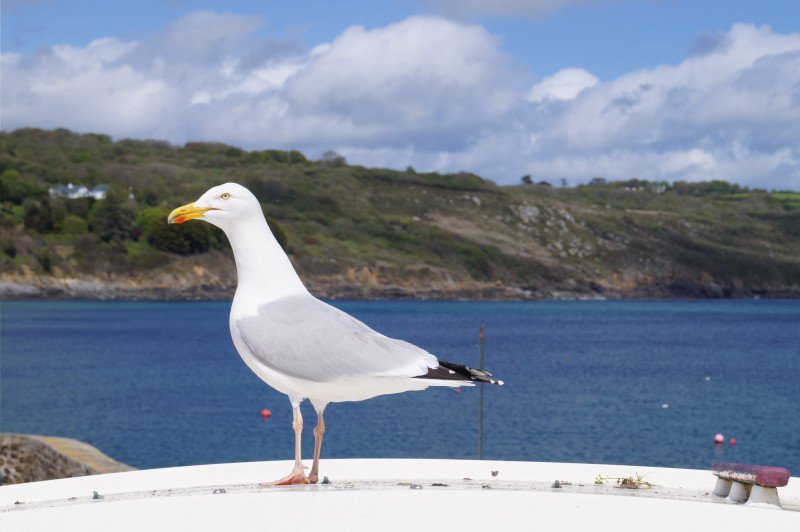 Taken in Cornwall in September!