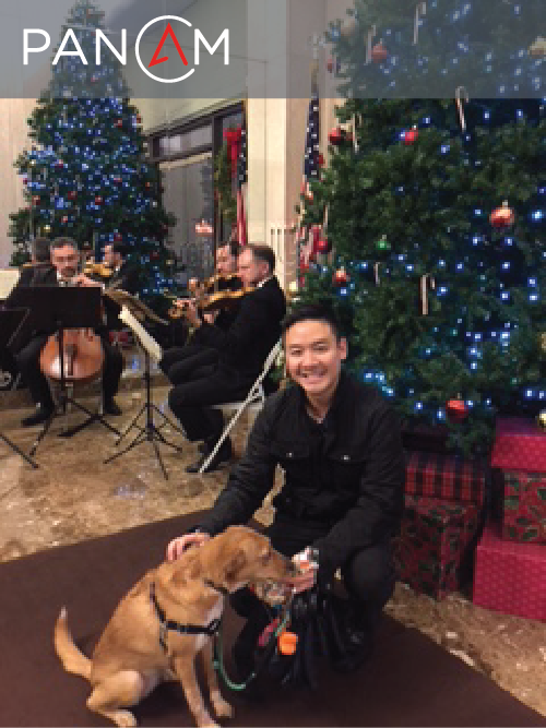 PanAmEquities's tweet photo. #FalconTower residents enjoyed a beautiful string quartet last night. What better way to get in the #holiday spirit? https://t.co/wEznPT6OE2