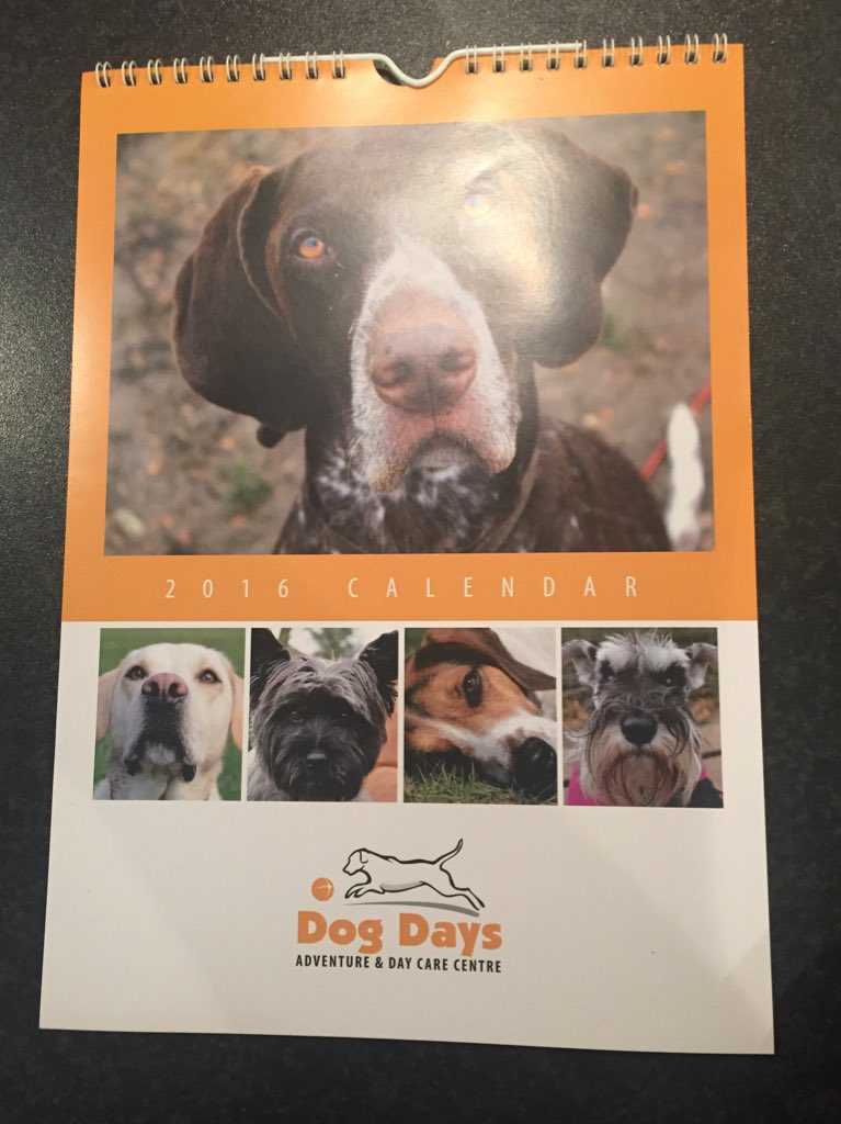 minimollyw's tweet photo. Yes! I made the front cover of the 2016 @DogDayAdventure calendar! 🐶👍 https://t.co/w7joF9IBUz