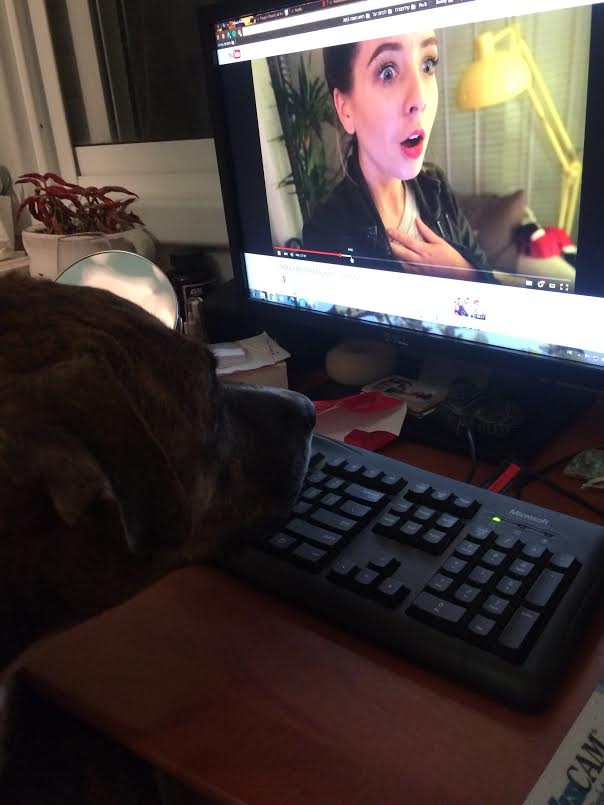 Leann Lev tweet media