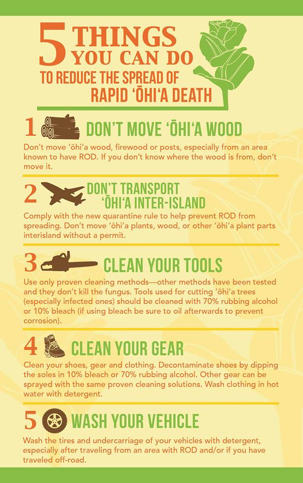Help save native forests - do your part to prevent the spread of Rapid Ohia Death on Hawaii Island and state-wide.