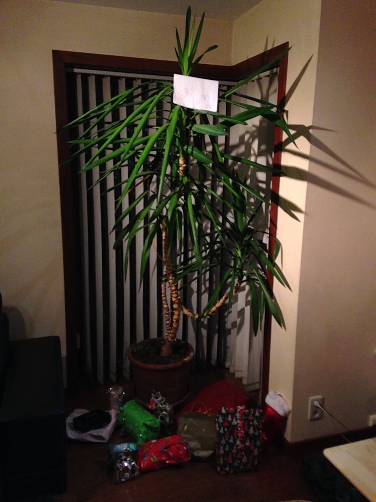 baafbuys's tweet photo. Kerstboom van 6hwe #dikkefeeste #spaghettiparty https://t.co/0ieW694ODn