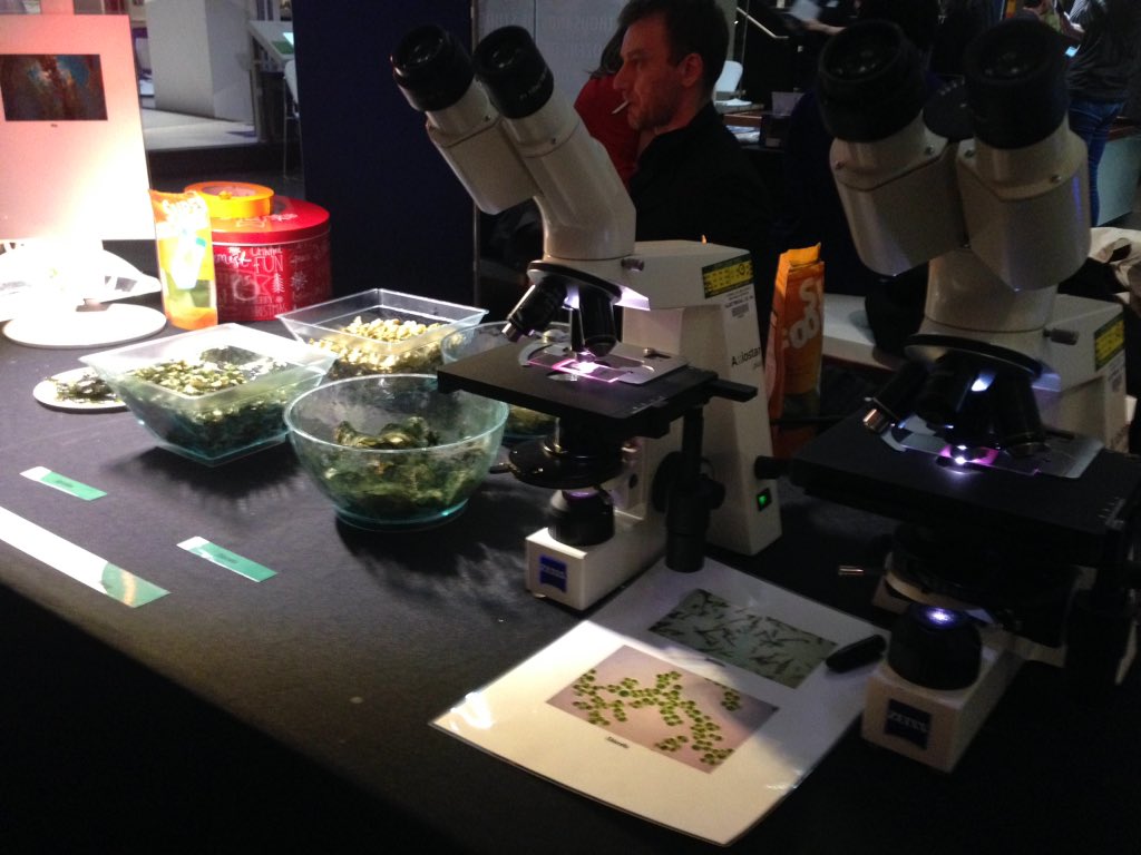 PhoebeTickell's tweet photo. Ready to kick off at the @sciencemuseum! Come and taste our algae snacks #Principia #algaeinspace https://t.co/6CpkpTTs1F