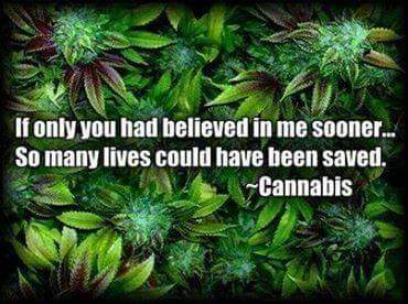 Tina Paxton (@paxtontina) on Twitter photo 