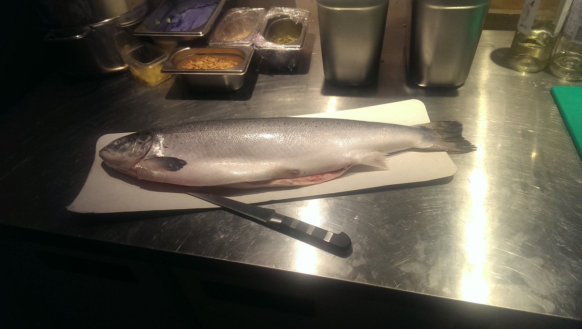 TheFoodCircus's tweet photo. It's Christmas, but not for Richard the salmon. Found him earlier so prepare for salmon fish wraps @TheFoodCircus https://t.co/Yq2xoVR5j5