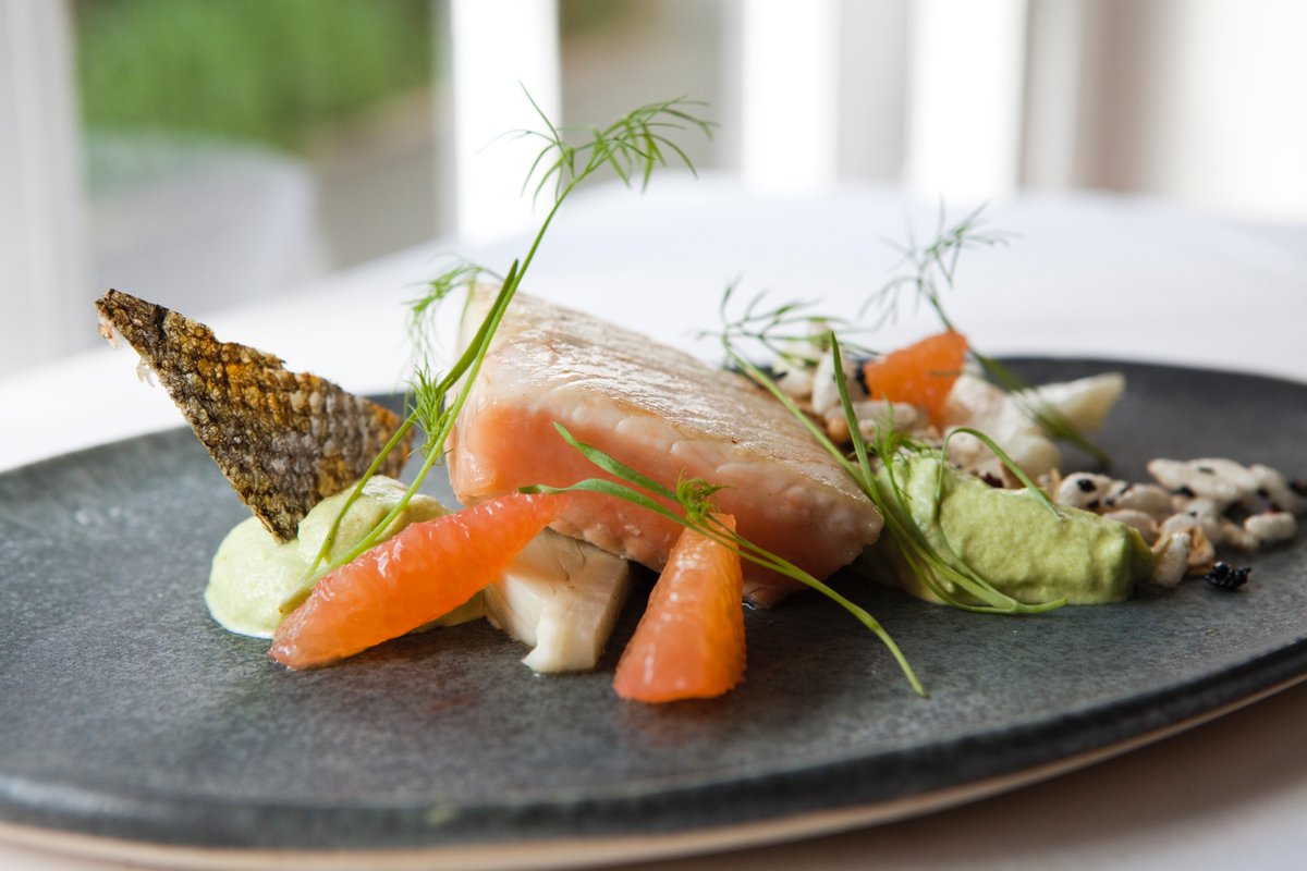 ChefDavidDunlap's tweet image. Ivory King Salmon, Fennel, Grapefruit