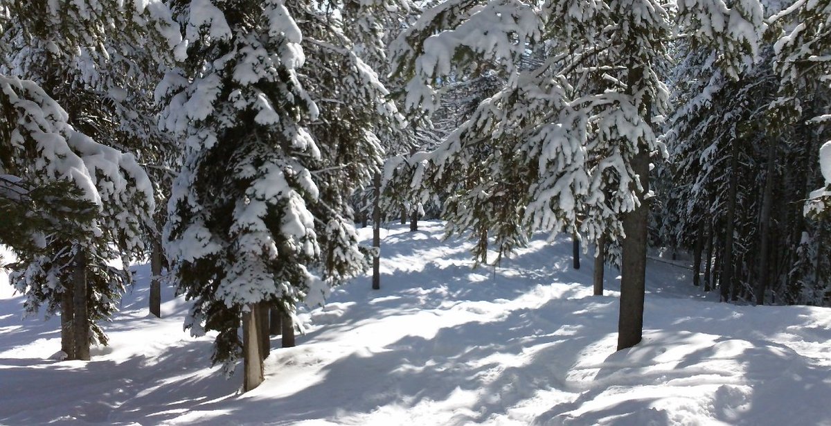 Ski_Alberta's tweet image. RT @SkiKimberley: "We’re Glade you Came" ow.ly/UfzAh #blog #mykimberley #notatypo #tips