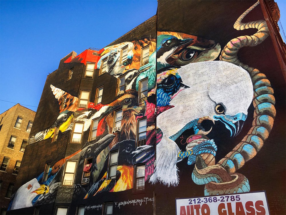 nature_NJ's tweet photo. .@audubonsociety Mural Project brings endangered birds to concrete jungle of Manhattan https://t.co/TE1mnyDBx8  🐦 https://t.co/UpKEsPEgpD