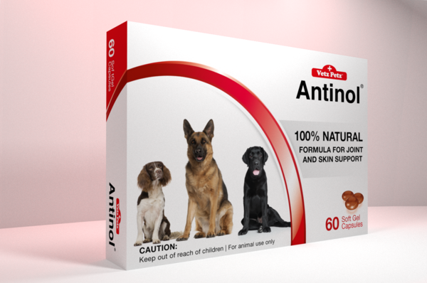 AntinolUK's tweet photo. Antinol supports your #dog’s natural #inflammatory response! https://t.co/Gthg7ax5Ff #health #dogshealth https://t.co/XHuc1VotKH