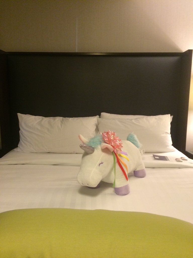 hyattwashington's tweet photo. #AtRegency princess' have unicorn pillows #edensunicornwish https://t.co/z5tTzCzGr9