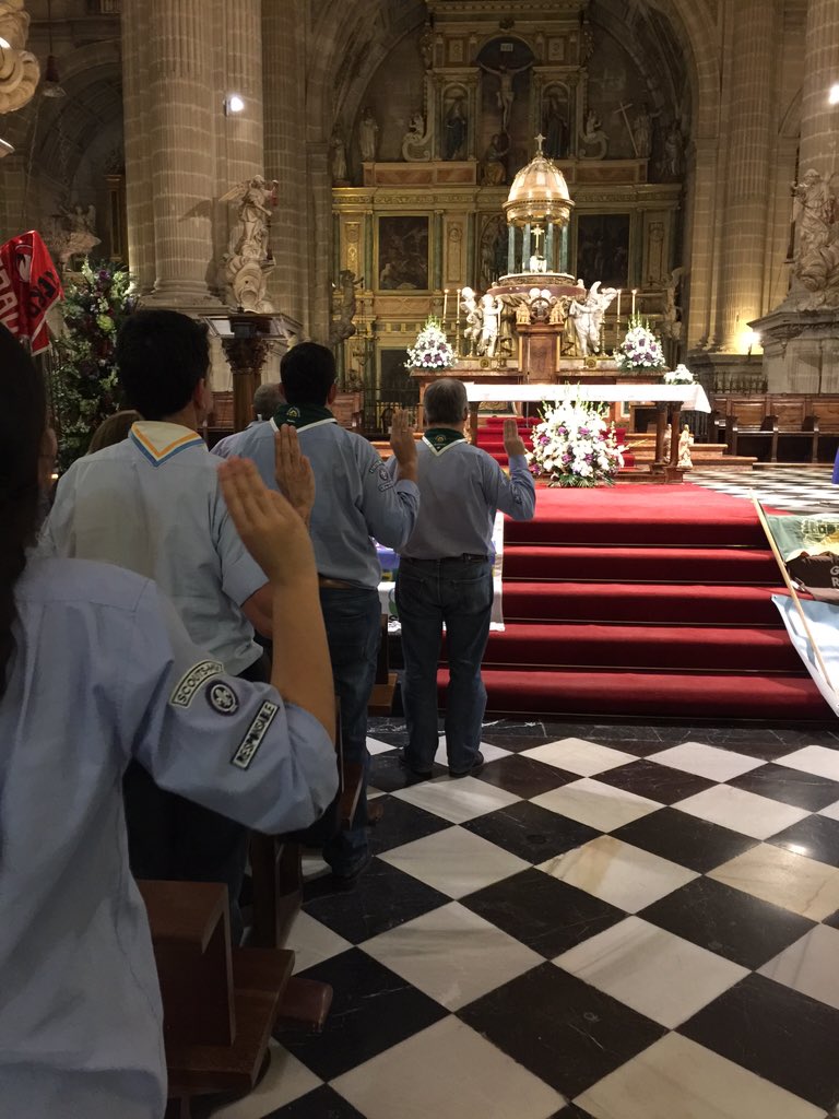 Sentimiento MSC <a href="/scoutsmsc/">Scouts MSC</a> <a href="/scoutsur/">Scouts Católicos de Andalucía</a> <a href="/ScoutsJaen/">なつき</a> #LPB2015