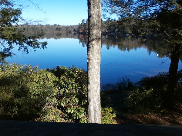 PlaceOneRealtyG's tweet photo. #TravelTuesday Come visit us in the #NorthernPoconos; we can offer unique land and home #packages. https://t.co/s6L1ezpk18