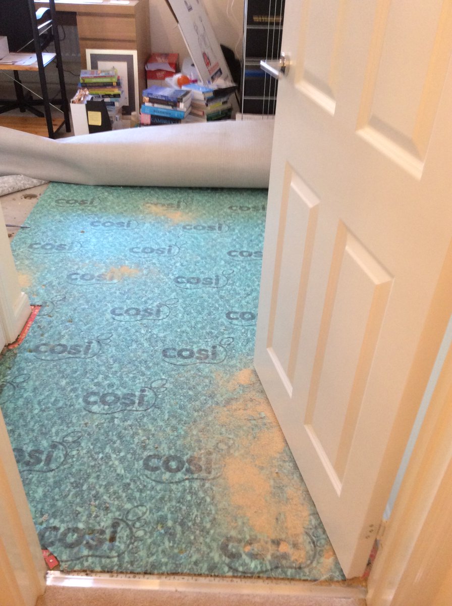 SwedeAbroad1's tweet photo. Sawdust left on the underlay in our brand new @bovishomes FYI @bodgebovis https://t.co/ggeZxCjdHP