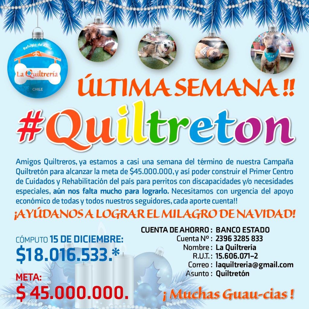 castillopenna's tweet photo. Todos con @LaQuiltreria @pobrecabra @claudiaaldanas #campominado #teletonparaperros RT 
https://t.co/V1fGA7708a https://t.co/3oAyacnFDU