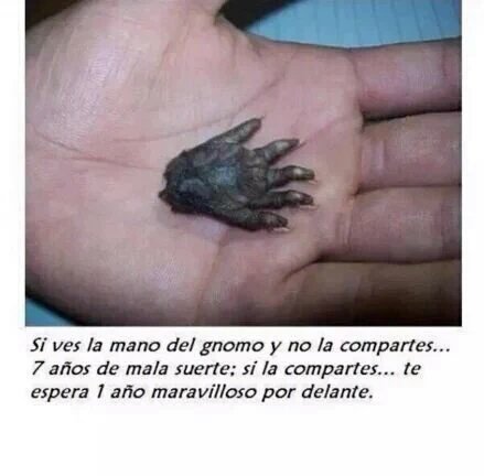 JulianMarin's tweet photo. Juro que comparti estas fotos y recibi dos buenas noticias. https://t.co/btywsXdVFZ
