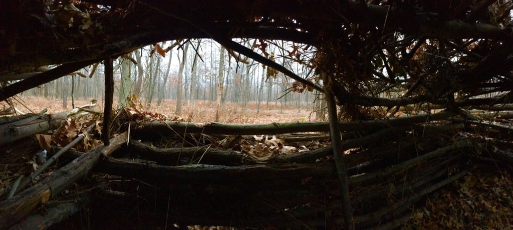 scoobydoo33198's tweet photo. My view this evening. #deerhunting #muzzleloadingseason #fingerscrossed 🙏🏼🔫🌥 https://t.co/PLLJYCsySu