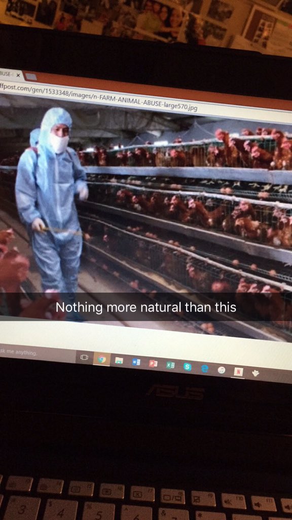 partoftheearth's tweet photo. Y'all kill me 😂😂😂 #factoryfarming #vegan https://t.co/pCaKb1KoyA