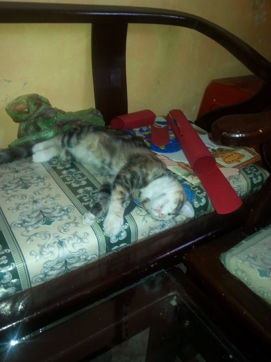 el_kony's tweet photo. Ella siempre echa la vaga https://t.co/zvh4FeMP3Q
