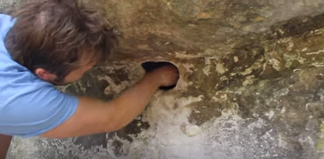 AnimalPlanet's tweet photo. A hole full of daddy longlegs? No thanks! >> https://t.co/0F7hbsCUiw https://t.co/OzCDDyuu67