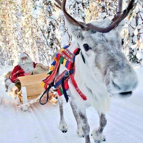 Magical December✨☃🎅🎄🎁☃✨