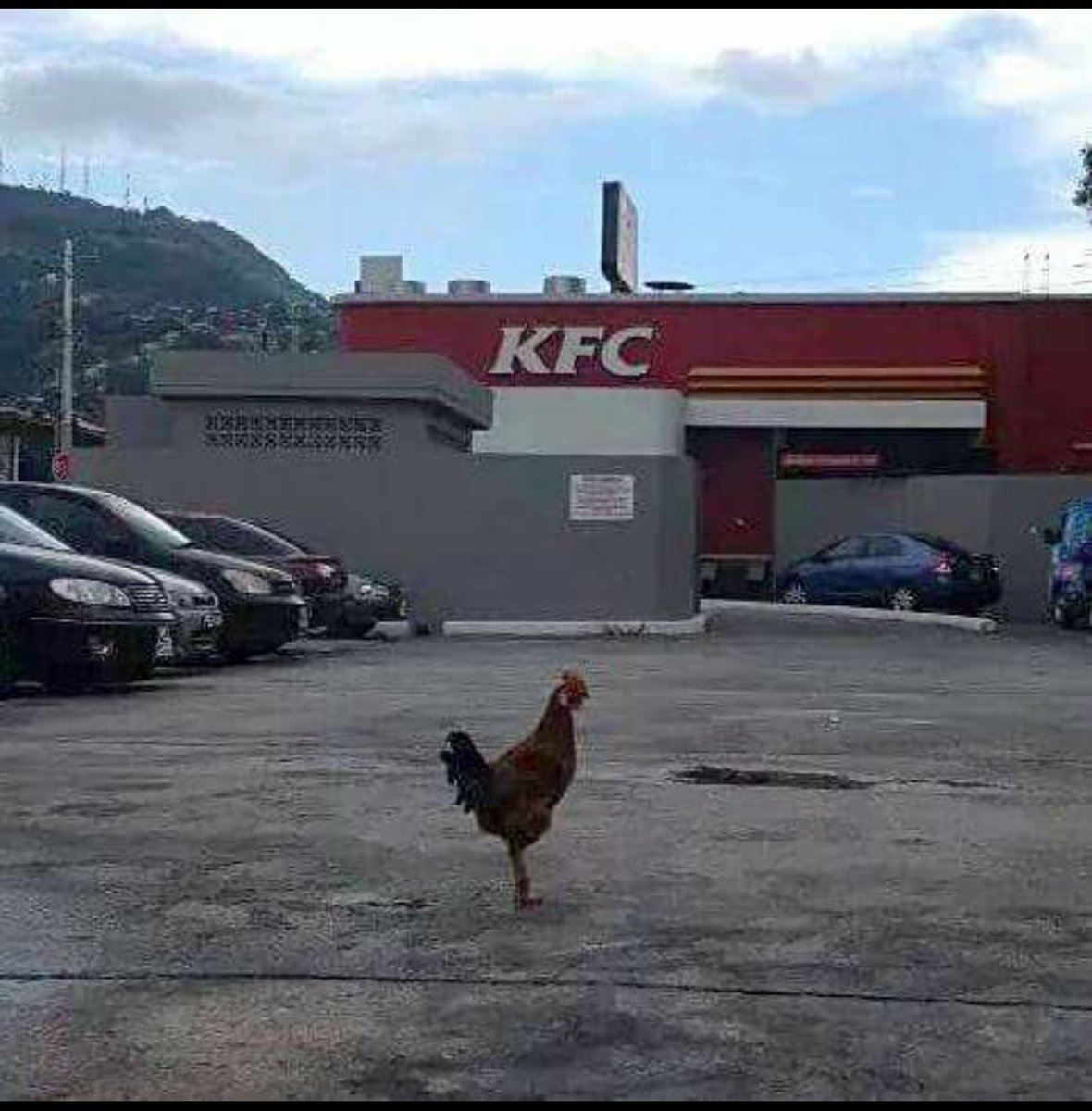 BestScreenFR's tweet image. Quand t'es courageux