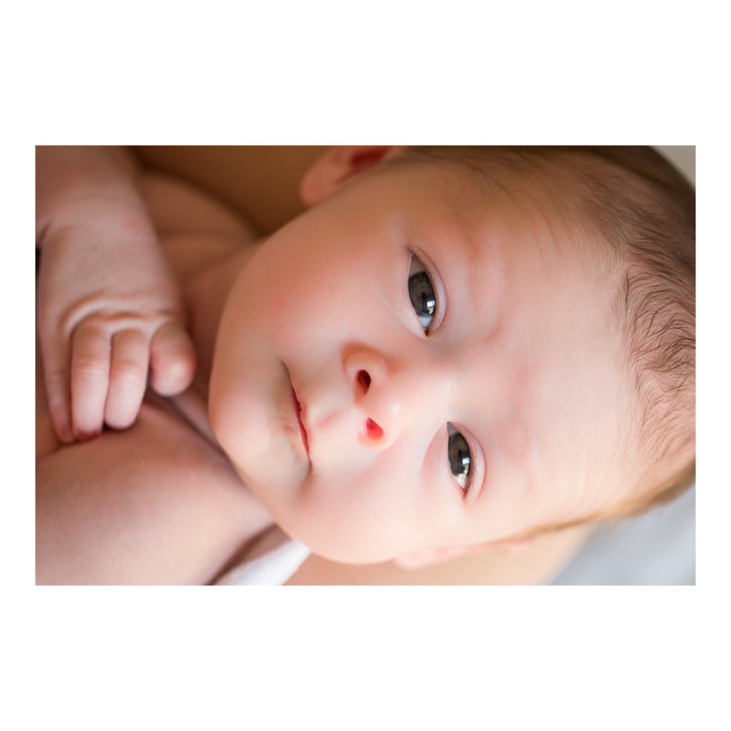 shotwithcharm's tweet photo. Such a handsome little man 😍 #shotwithcharm https://t.co/7RKQMnO2lw