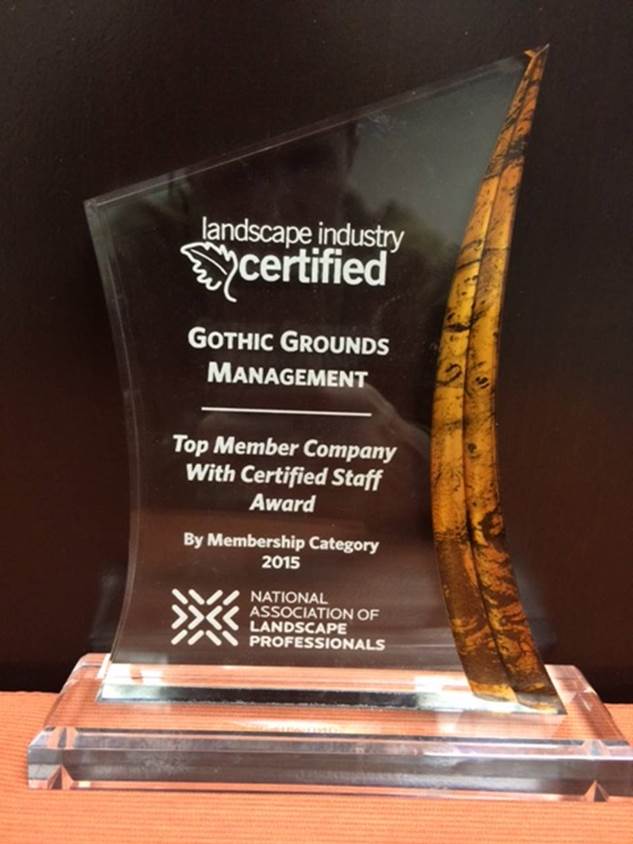 Gothic Grounds tweet media