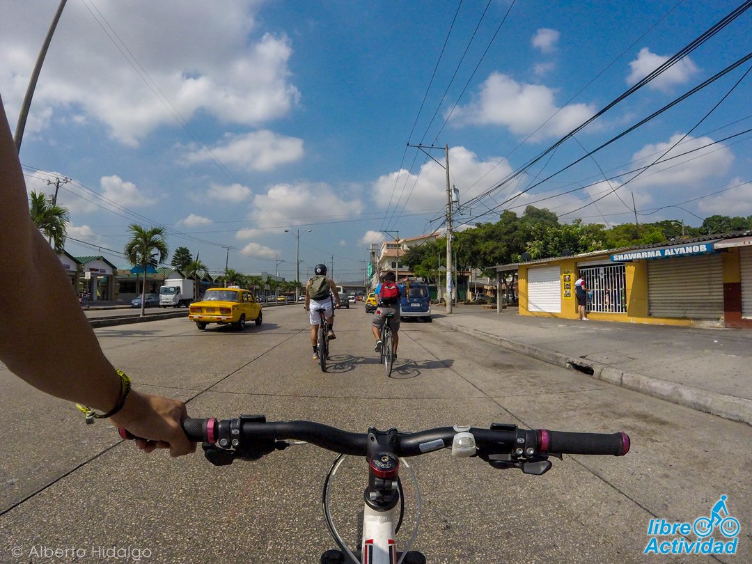 Libre Actividad tweet media